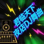 被偷走的夏天影乐君 (DJ舞曲) artwork