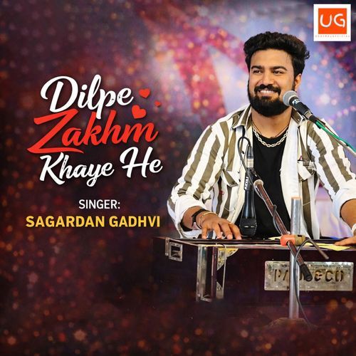 Dil Pe Zakhm Khaye He cover art