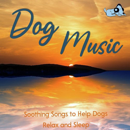 Dog Music: Soothing Songs to Help Dogs Relax and Sleep