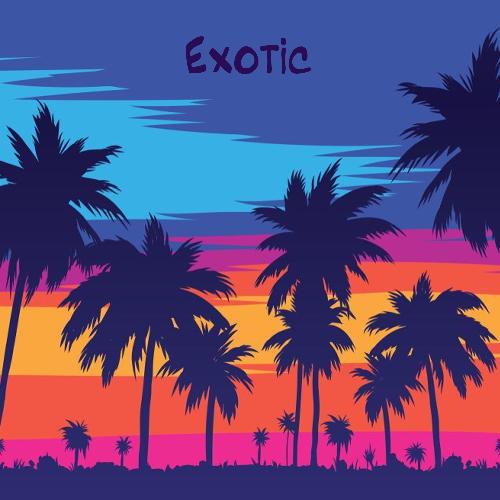 Exotic_poster_image