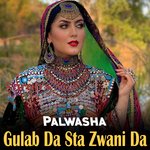 Zama Da Satrago Lare