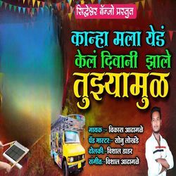 Kanha Mala Yed Kel Diwani Zale Tuzyamul