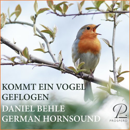 Kommt ein Vogel geflogen (Arr. for Tenor &amp; Horn Quartet by Alexander Krampe)_poster_image