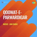 Qoowat E Parwardigar