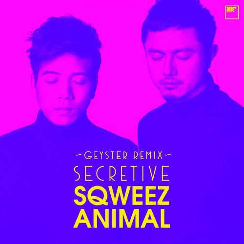 Secretive (Geyster Remix) cover art