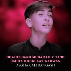 Shaheedano Mubarak V Taso Dagha Khukulay Karwan-BVgPSTtxXEU