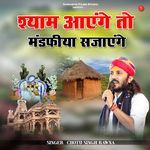 Shyam Aayenge To Mandfiya Sajayenge