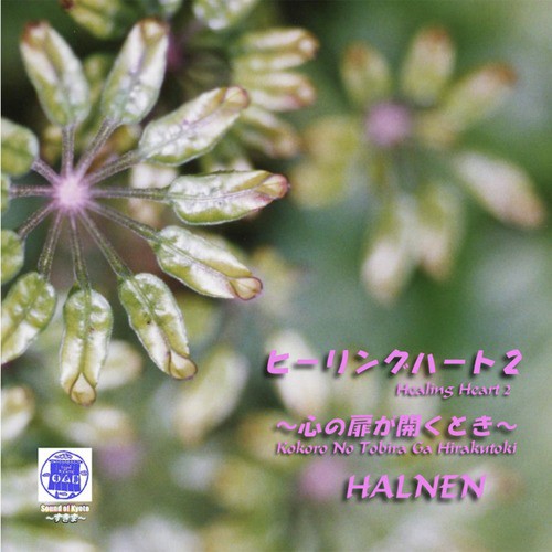 Haruka Na Sora He - Song Download from Sound of Kyoto -Sukima