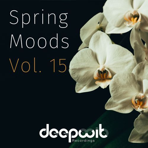 Night Sky
