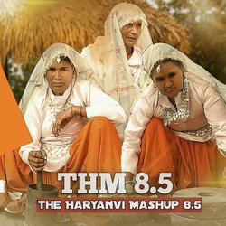 THM The Haryanvi Mashup 8.5-FgouBE16WGI