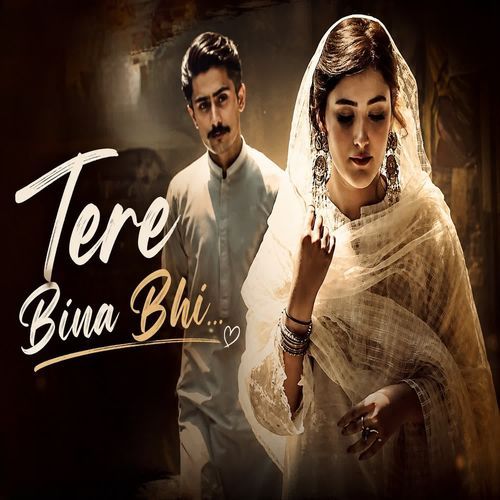 Tere Bina Bhi