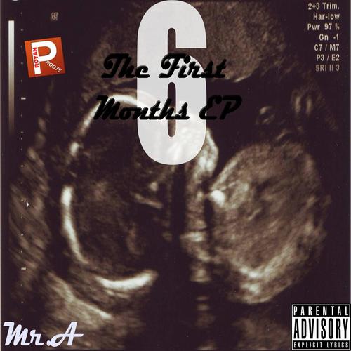 The First 6 Months EP_poster_image