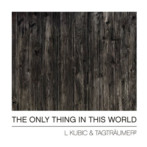 The Only Thing in This World (Alle Farben Remix) cover art