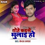 Tohe Kaise Bhulai Ho