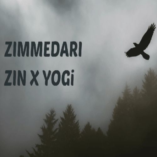 Zimmedari