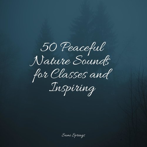 50 Peaceful Nature Sounds for Classes and Inspiring