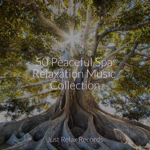 50 Peaceful Spa Relaxation Music Collection