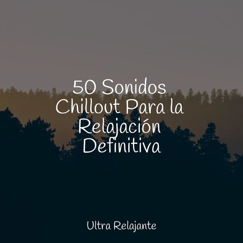 50 Sonidos Chillout Para la Relajación Definitiva