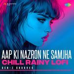 Aap Ki Nazron Ne Samjha - Chill Rainy Lofi