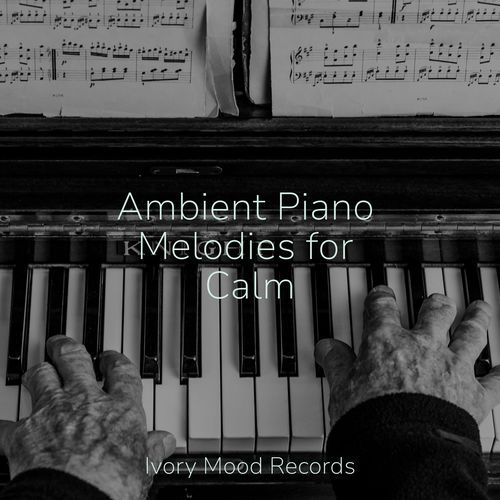 Silent Haze Melody cover art