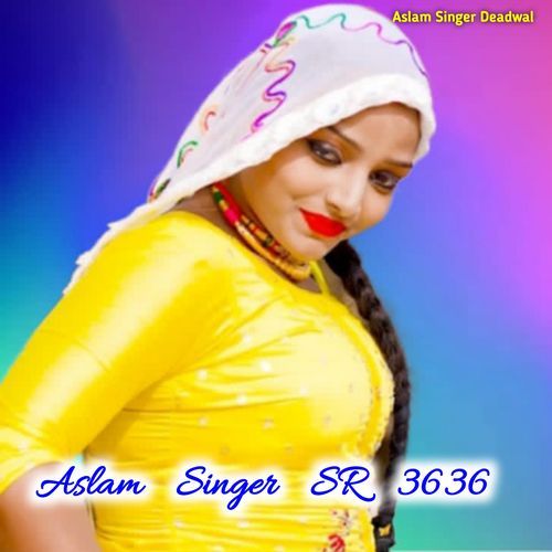 Aslam Singer SR 3636