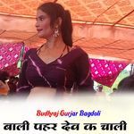 Bali Pahr Dev K Chali