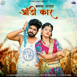 Bansa Laydo Audi Car