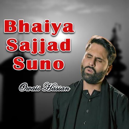 Bhaiya Sajjad Suno