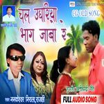 Chal Udhariya Bhag Jabo Re