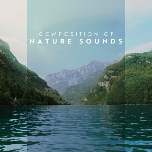 Composition of Nature Sounds: Relaxing Ocean Waves, Woodland Ambience, Rainfall, Flowing River_poster_image