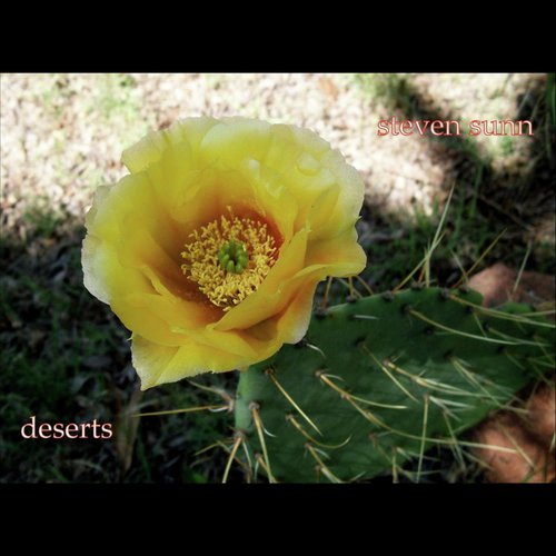 Sunn Rise cover art