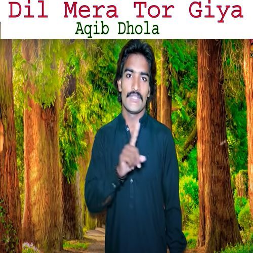 Dil Mera Tor Giya