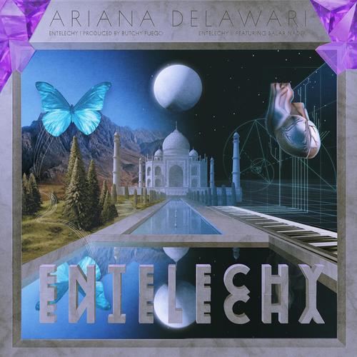 Entelechy II (feat. Salar Nader)_poster_image