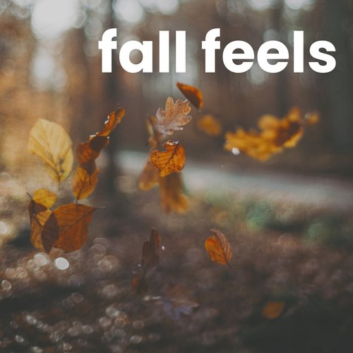 Fall Feels