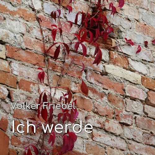 Ich werde cover art