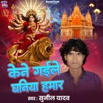 Kene Gaile Dhaniya Hamar