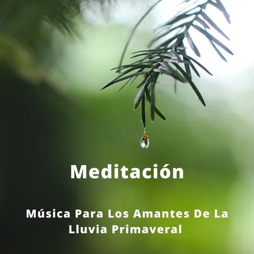 Sonidos Suave De La Noche cover art