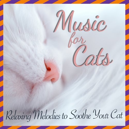 Cat Sleep Song