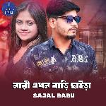 Nari Akhon Bari Chayra