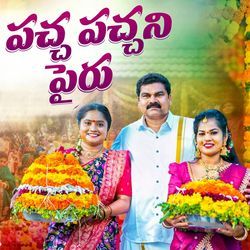 PACCHA PACCHANI PAIRU BATHUKAMMA