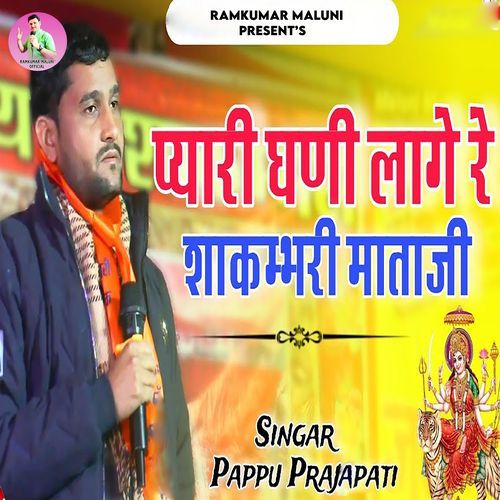 Pyari Ghani Lage Re Shakambhri Mataji