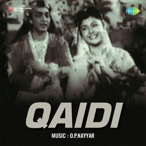 Qaidi