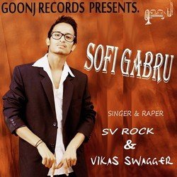 Sofi Gabru-RVsJBQ1,bmc