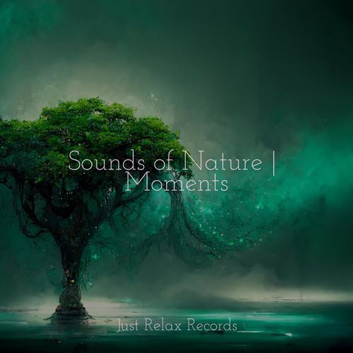 Sounds of Nature | Moments_poster_image