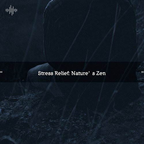 Nature Ambience cover art