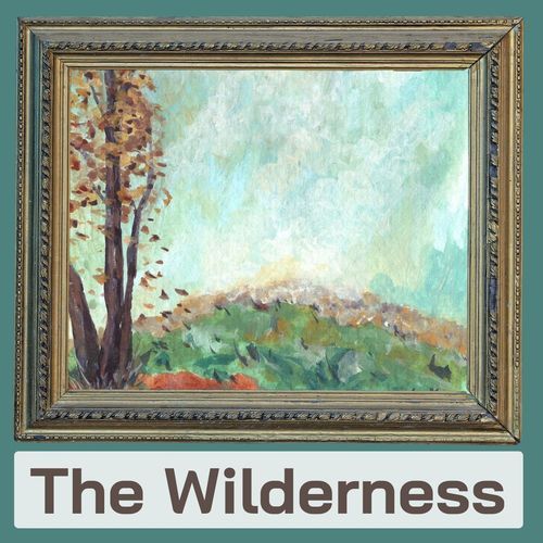 The Wilderness