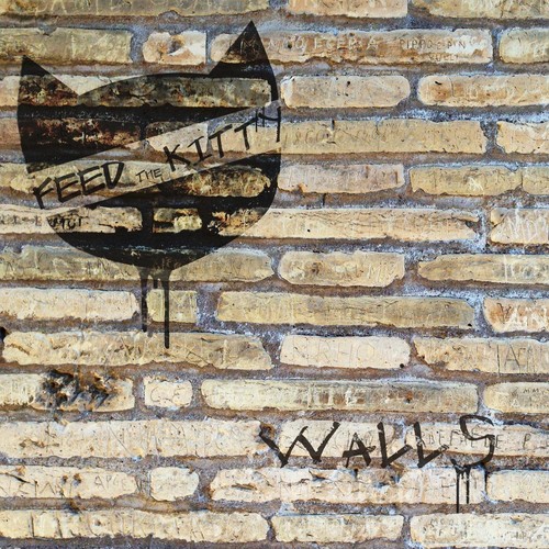 Walls_poster_image