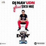 We Doin It Big (Desi Remix)