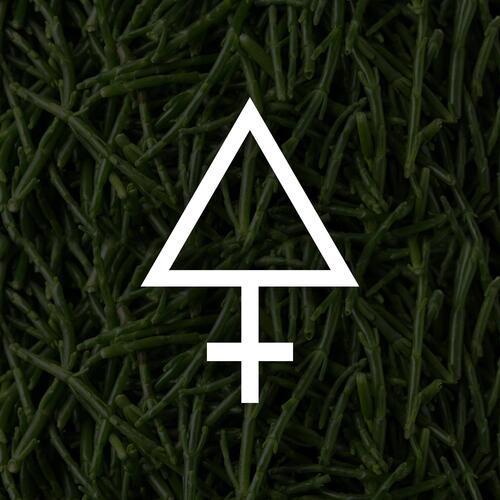F.O.E. (feat. Gian Marco Castro & Andrea Sciacca) cover art