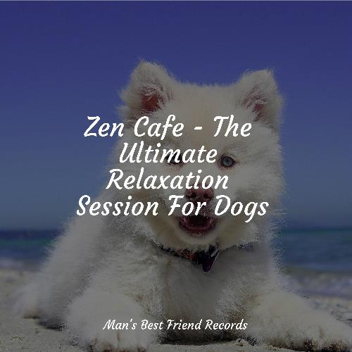 Meditating Music cover art